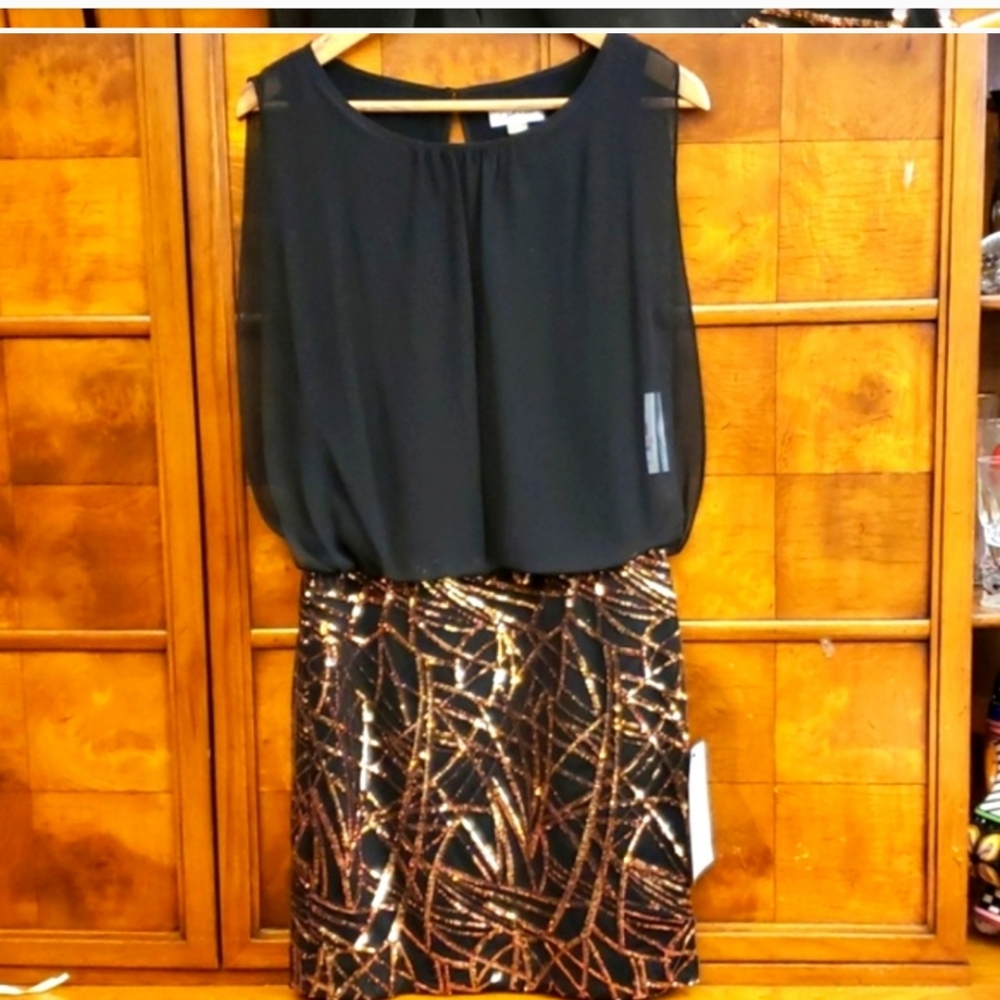 Calvin Klein Chiffon On Dress With Gold-Decor Skirt Dress Size 2